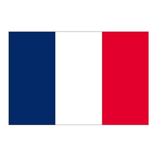 ビッグフラッグ（大） 国旗 フランス （販促用） No.54475 （受注生産品・キャンセル不可）｜のぼりストア　店