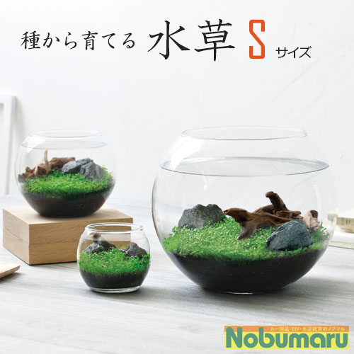 水草育成用品 一式 sdm_image_01_s_2.jpg