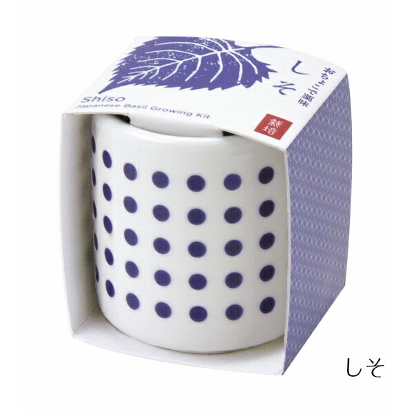 【送料無料】おちょこで薬味栽培セット4個セットしそ/唐辛子/わさび菜/三つ葉ミニ日本かわいいおしゃれ自宅キッチン簡単