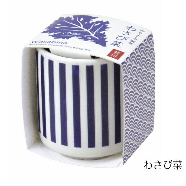【送料無料】おちょこで薬味栽培セット4個セットしそ/唐辛子/わさび菜/三つ葉ミニ日本かわいいおしゃれ自宅キッチン簡単