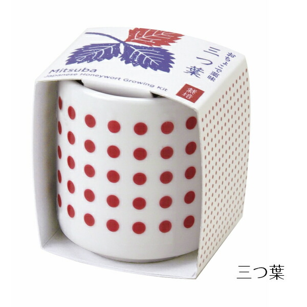 【送料無料】おちょこで薬味栽培セット4個セットしそ/唐辛子/わさび菜/三つ葉ミニ日本かわいいおしゃれ自宅キッチン簡単
