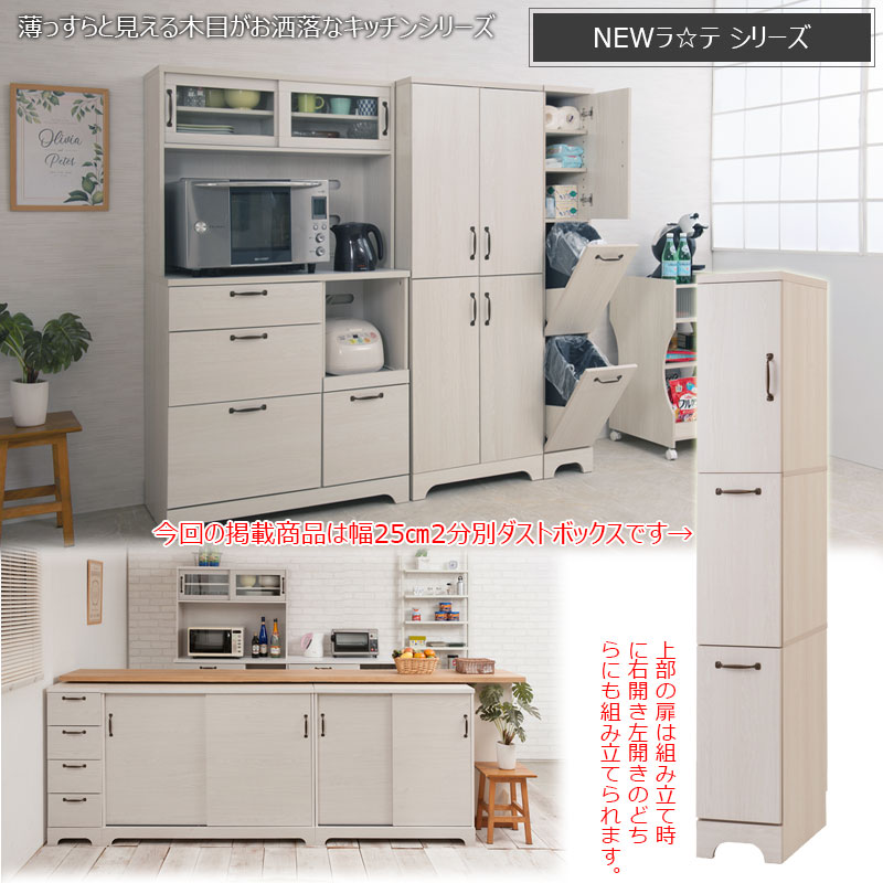 うっすら木目 ホワイトウォッシュ 2分別 キッチン ダストボックス スリム 幅25 【送料無料】 木製 収納付き ペール 蓋付き 扉付き キッチンゴミ箱 ホワイト 白 縦型 隙間 おしゃれ 可愛い