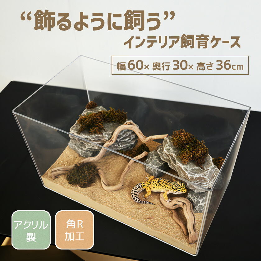 飼育ケース 飼育ケージ 幅60cm×高さ36cm奥行30cm 飼育かご 飼育容器 爬虫類 小動物 昆虫 ハムスター 蛇 アクリル ケージ 虫かご 虫籠 プラケース プラスチック 特大 DIY 通気性 透明 クリア|noconoco・キッチン