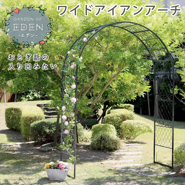 ダークグリーン ローズアーチ ガーデンアーチ 蔦 ガーデンアーチ アイアン 植物 ガーデンアーチ バラ ローズアーチ ワイド おしゃれ ガーデンアーチ イングリッシュガーデン レストランでも使える大型サイズ アイアン 幅広 noconoco キッチンホテルや結婚式場に ダークグリーン ローズアーチ ガーデンアーチ 蔦 ガーデンアーチ アイアン 植物 ガーデンアーチ バラ ローズアーチ ワイド おしゃれ ガーデンアーチ イングリッシュガーデン レストランでも使える大型サイズ アイアン 幅広 noconoco キッチンホテルや結婚式場に