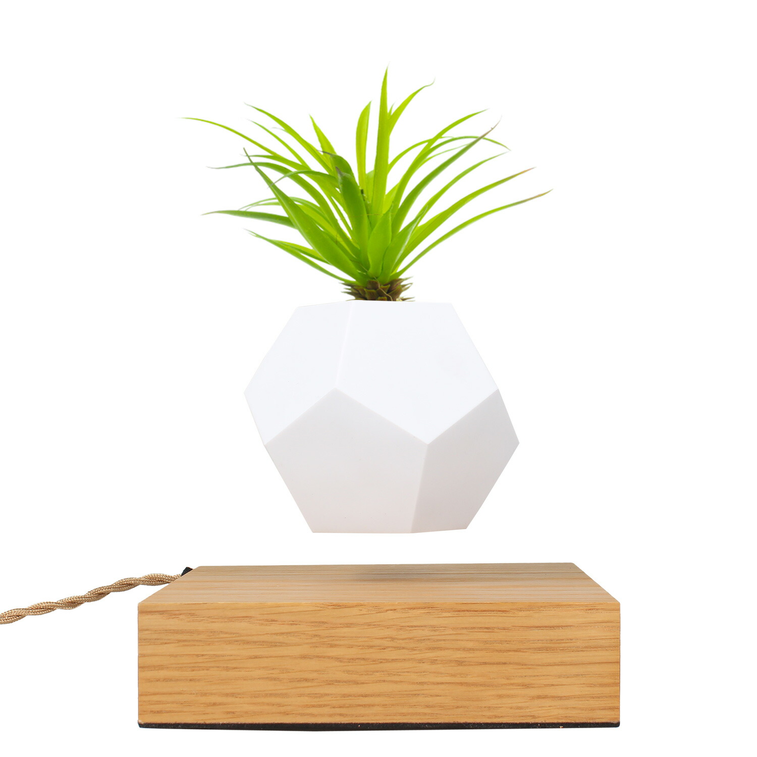 Flyte フライト プランター 植木鉢 鉢植え おしゃれ ライフ Lyfe V1 1 Fmcholollan Org Mx