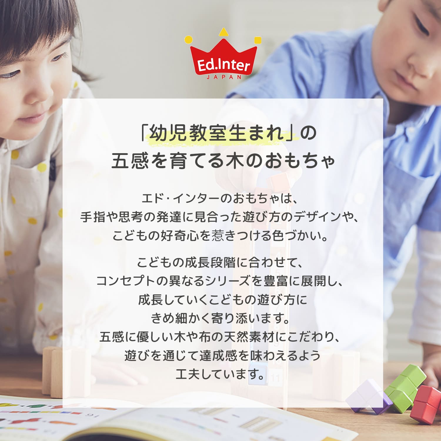 Ed Inter エドインター パズル あそびのおうち 型はめ 1歳半から 積み木