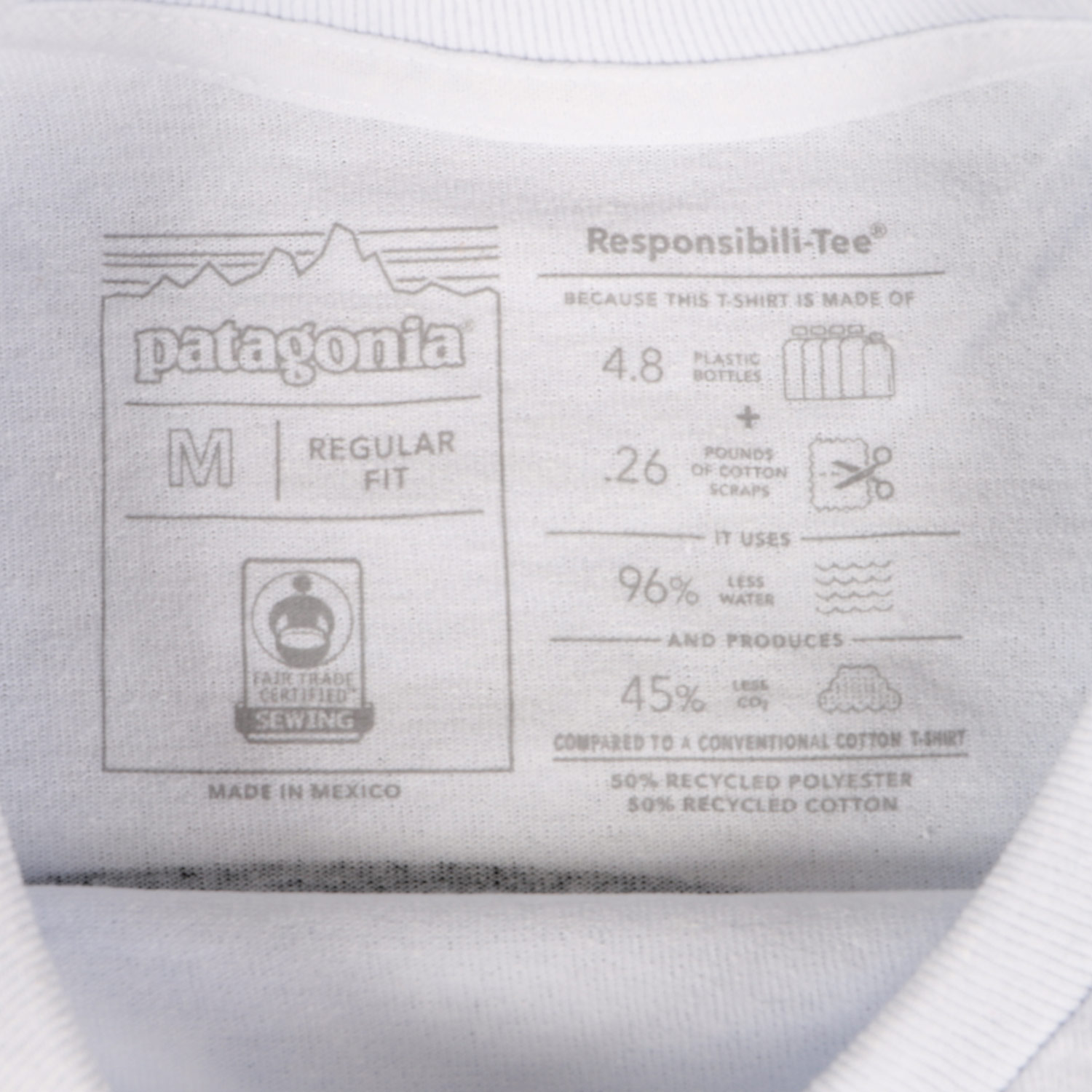 Patagonia L パタゴニア 長袖 Tee Roy ロンt Fitz Responsibili S Tシャツ Horizons