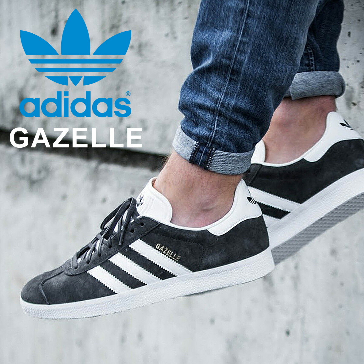 gazelle bb5480