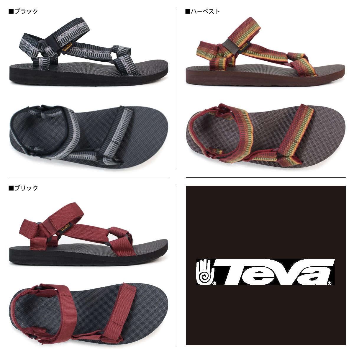 teva 1004006