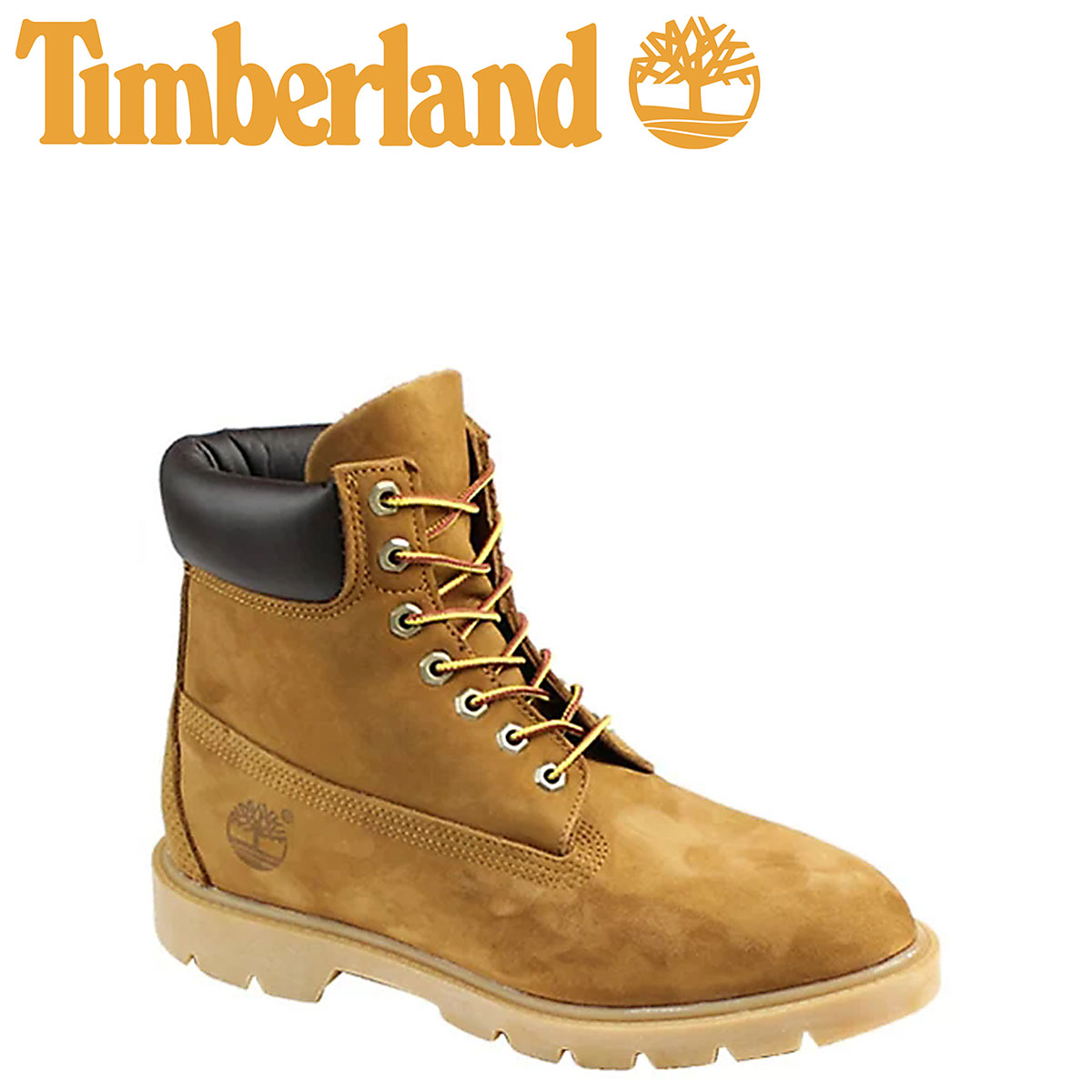 anfibi primavera 2019