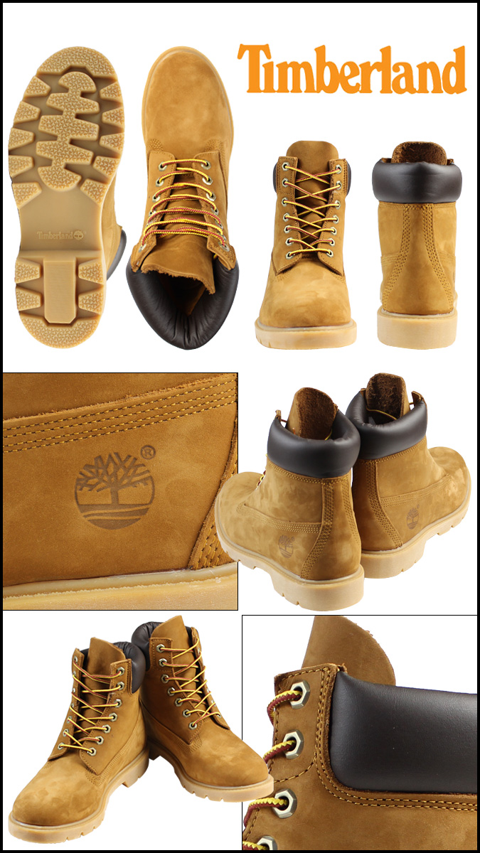 timberland 6 in basic