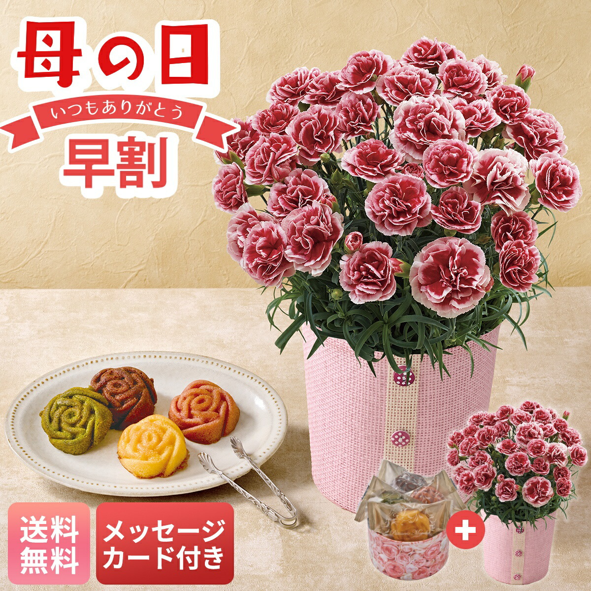 楽天市場】母の日 早割 ギフト プレゼント 贈り物 2026 送料無料 ユリ