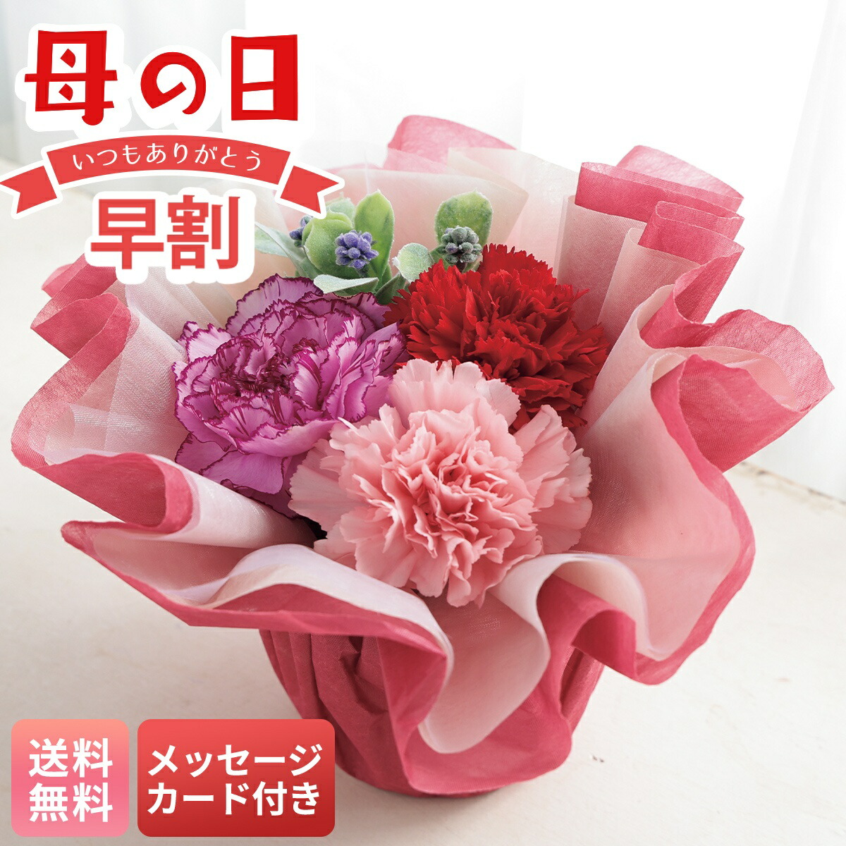 楽天市場】母の日 早割 ギフト プレゼント 贈り物 2026 送料無料