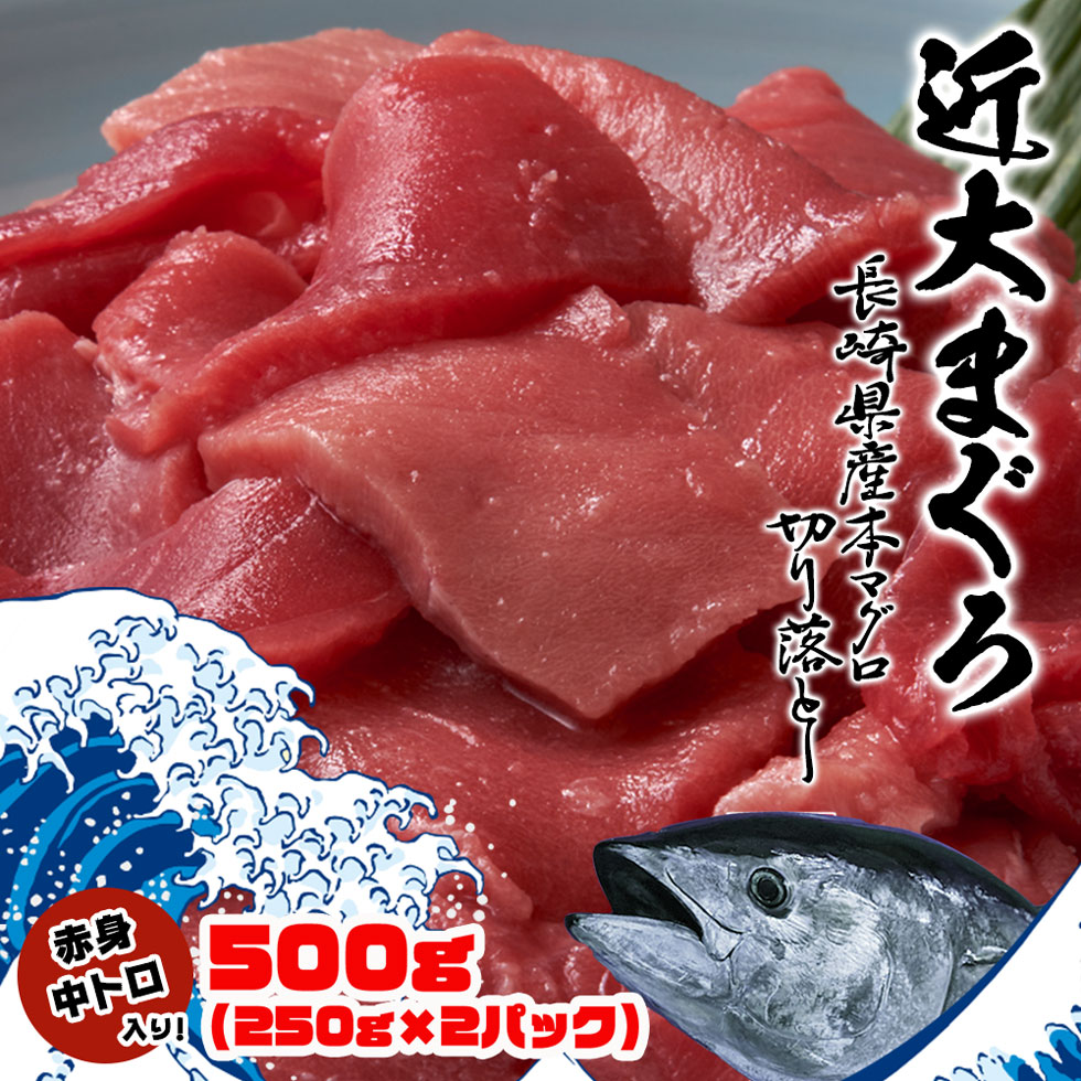 お中元 送料無料 ギフト 夏ギフト 近大マグロ まぐろ 鮪 魚 海鮮 鮮魚 魚介 近大生まれ長崎県産本マグロ切り落とし 500g 250g 2パック Kinmag500 Rvcconst Com