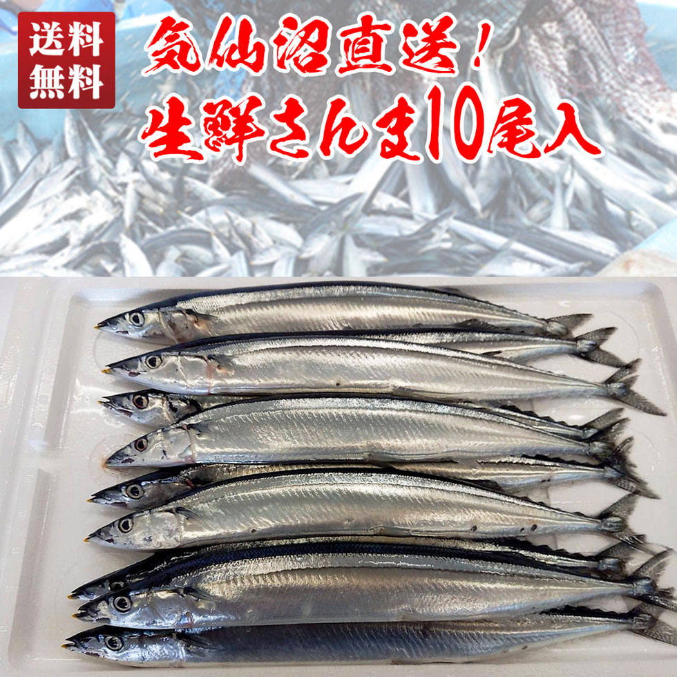 送料無料 気仙沼直送 生鮮さんま 直送便 10尾入 T3 7 秋の味覚 食欲の秋 宮城県 気仙沼 海鮮 グルメ 秋刀魚 サンマ さんま 生さんま 刺身 塩焼き 美味しい お取り寄せ ギフト Thetechbulletin Com