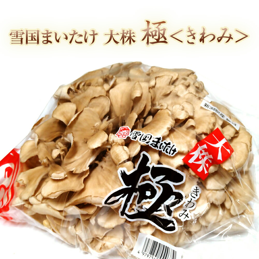 舞茸様、専用出品。 maitake_pro_02.jpg