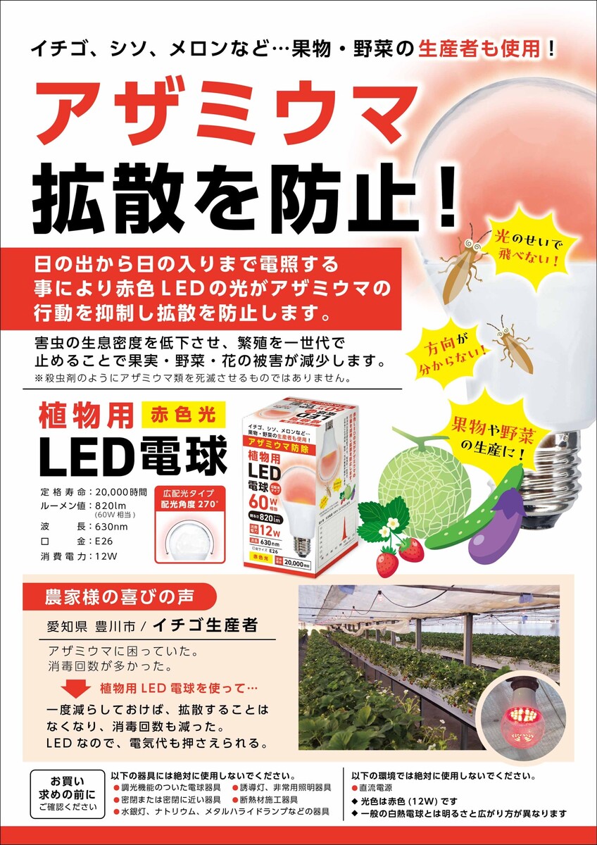 楽天市場】電照菊用ＬＥＤ電球12Ｗ １００個セット １個４４５円 口金E２６ 菊いちご生産者様用 ６０W相当 花芽分化抑制用 : 農業革命