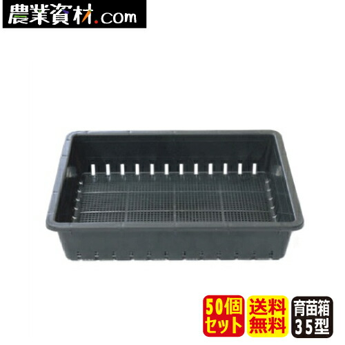 楽天市場】1200個入 育苗 ACカットパック 2×2 黒 縦11cm×横12cm