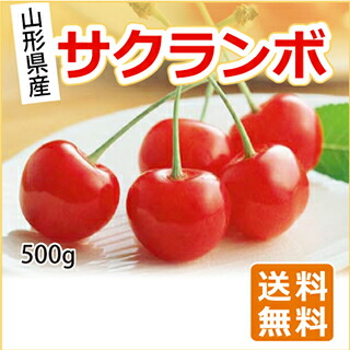 山形県産さくらんぼ 500g