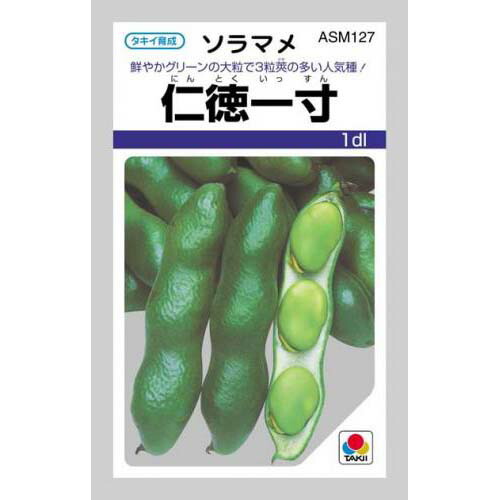楽天市場】そら豆 種 【 初姫 】 小袋（9粒） ( そら豆の種