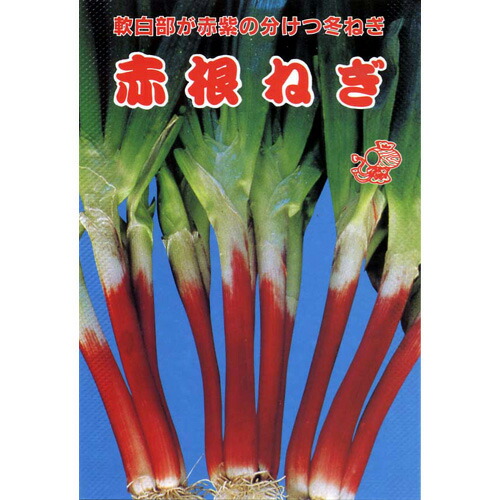楽天市場 ネギ 種 赤根ねぎ 種子 小袋 約4ml 種 野菜 野菜種子 野菜種 菜園くらぶ 家庭菜園の専門店