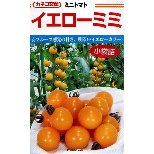 ミニ赤茄子 種 【黄色ミミ】 厚地の外套600粒 （ 種 蔬菜 蔬菜内果皮 蔬菜種 ）