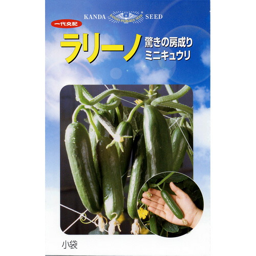 きゅうり きゅうり(宮崎県産 矢野さん他)|有機野菜 通販 Oisix