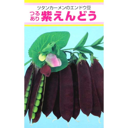 楽天市場 実取エンドウ 種 紫えんどう ml 種 野菜 野菜種子 野菜種 菜園くらぶ 家庭菜園の専門店