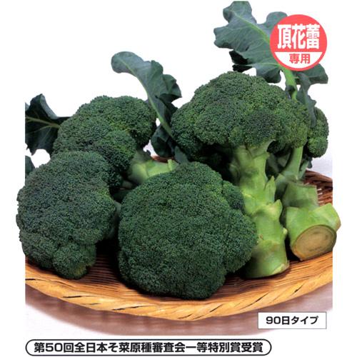 楽天市場】 SK9-099 ブロッコリー種子 【野菜種子】【サカタ交配