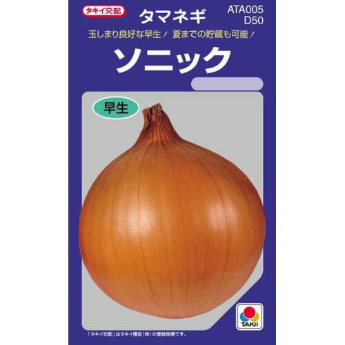楽天市場】たまねぎ 種 【 OP黄 】 小袋 DF ( たまねぎの種