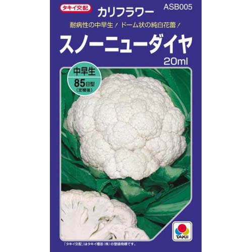 カリフラワー 種 【 スノーニューダイヤ 】 種子 20ml （ 種 野菜 野菜種子 野菜種 ）