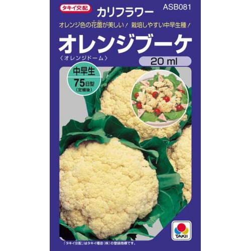 カリフラワー 種別 柑子コサージュ 種 ml 種 草片 野菜種子 野菜種 Barlo Com Br