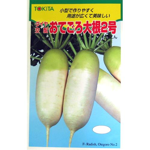 大根役者 種 【 おてごろ大根役者2号 】 内果皮 2dL缶 （ 種 蔬菜 蔬菜内果皮 蔬菜種 ）