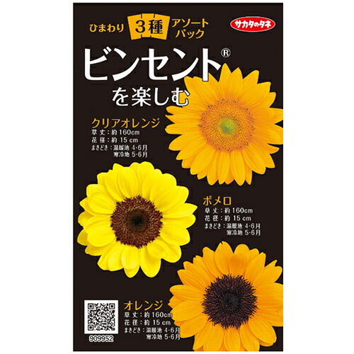 ひまわりです 楽天市場】【幸せの赤いひまわり】 種・小袋 （1ml） : 苗木部