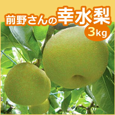 前野さんの幸水梨 3kg箱