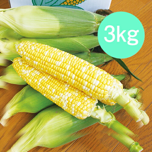 山形県産フルーツコーン3kg