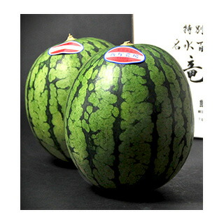 飯塚農場 小玉すいか（竜神のしずく）2玉箱入り