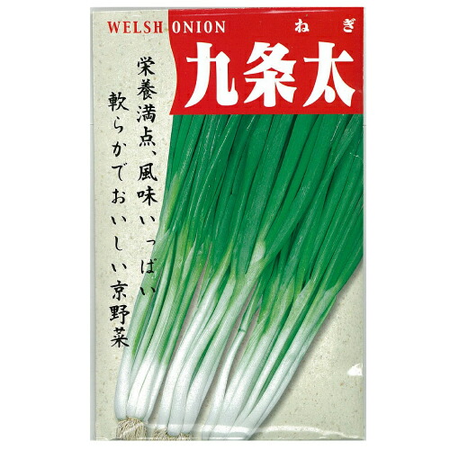ネギ 関羽 5000粒 有効期限9月 ネギ 関羽 5000粒 有効期限9月