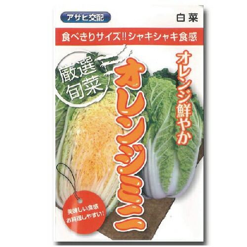 楽天市場】白菜 種 【ミニ白菜めんこい】 小袋 （ 種 野菜 野菜種子 野菜種 ） : 【菜園くらぶ】家庭菜園の専門店