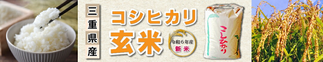 楽天市場】【アウトレット品】【送料無料】 手押し草刈機バロモア プラッター 350m/m使用 ２サイクルエンジン[ 草刈機 草刈り機 ] :  【菜園くらぶ】家庭菜園の専門店