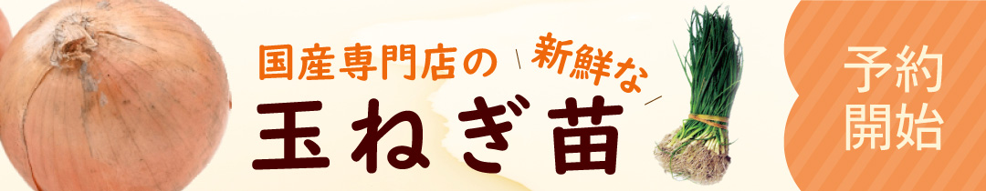 楽天市場】パプリカ 種 【 スイートカメレオン・ロング 】 （10粒） ( パプリカの種 ) : 【菜園くらぶ】家庭菜園の専門店