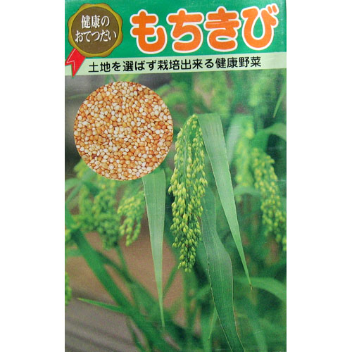 農林24号 陸稲 種子（うるち種）（種もみ）500g Amazon.co.jp: 種 野菜たね 陸稲種子 陸稲農林24号（うるち） 1