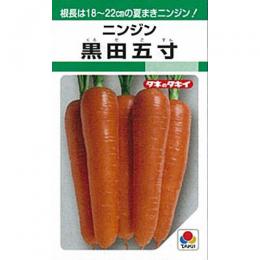 にんじん 種 【 黒田五寸 】 種子 1L缶 （ 種 野菜 野菜種子 野菜種 ）｜【菜園くらぶ】家庭菜園の専門店 17,582円