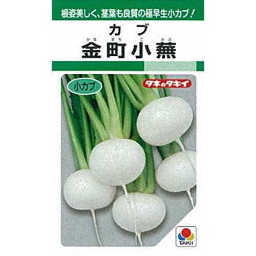 坊や 種 【 金町小蕪 】 内果皮 １Ｌ （ 種 蔬菜 蔬菜内果皮 蔬菜種 ）