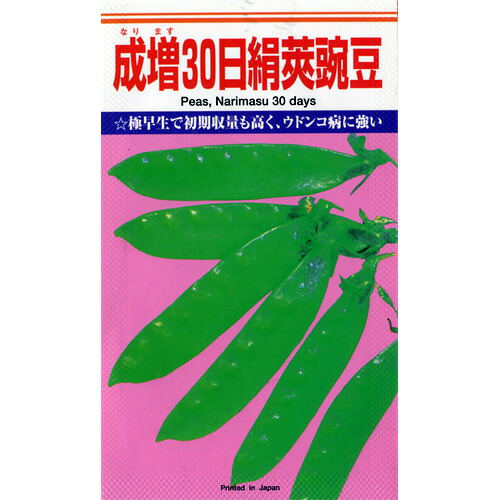 エンドウ 種 【成増３０日絹莢】 1L （ 種 野菜 野菜種子 野菜種 ）