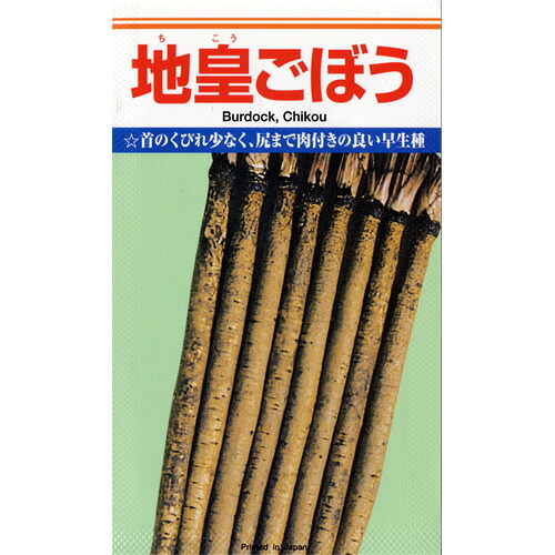 ごぼう 種 【 地皇 】 内果皮 １Ｌ （ 種 蔬菜 蔬菜内果皮 蔬菜種 ）