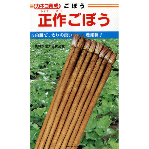 ごぼう 種 【 牛蒡正作 】 内果皮 １Ｌ （ 種 蔬菜 蔬菜内果皮 蔬菜種 ）