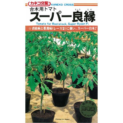 赤なす用台木 種 【赤なす台木 百貨店良縁】 1,000粒 （ 種 蔬菜 蔬菜内果皮 蔬菜種 ）