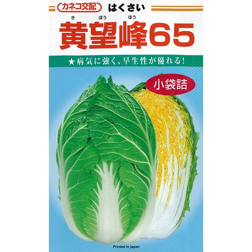 白菜 種 【 黄望峰６５ 】 内果皮 厚地の外套５千粒 （ 種 蔬菜 蔬菜内果皮 蔬菜種 ）