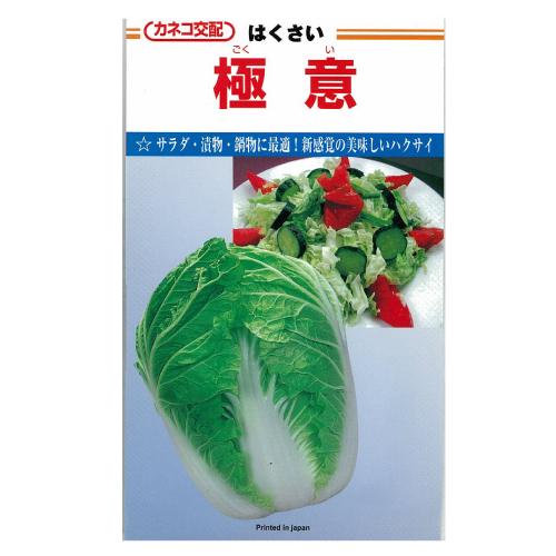 白菜 種 【 極意 】 種子 コート５千粒 （ 種 野菜 野菜種子 野菜種 ）
